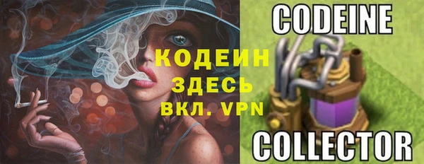 дмт Кодинск
