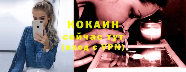 дмт Кодинск