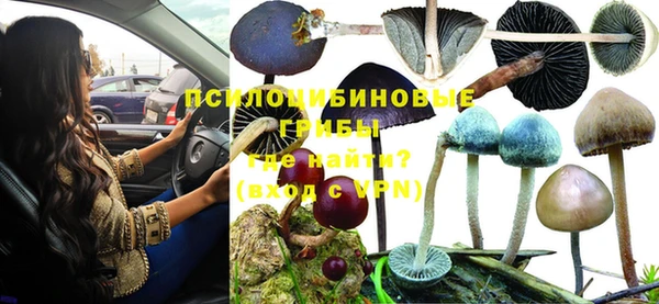 ГАЛЛЮЦИНОГЕННЫЕ ГРИБЫ Козельск
