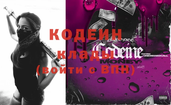 дмт Кодинск