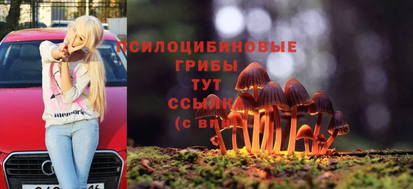 дмт Кодинск