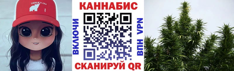 Марихуана MAZAR  Купить закладки  Шахунья 